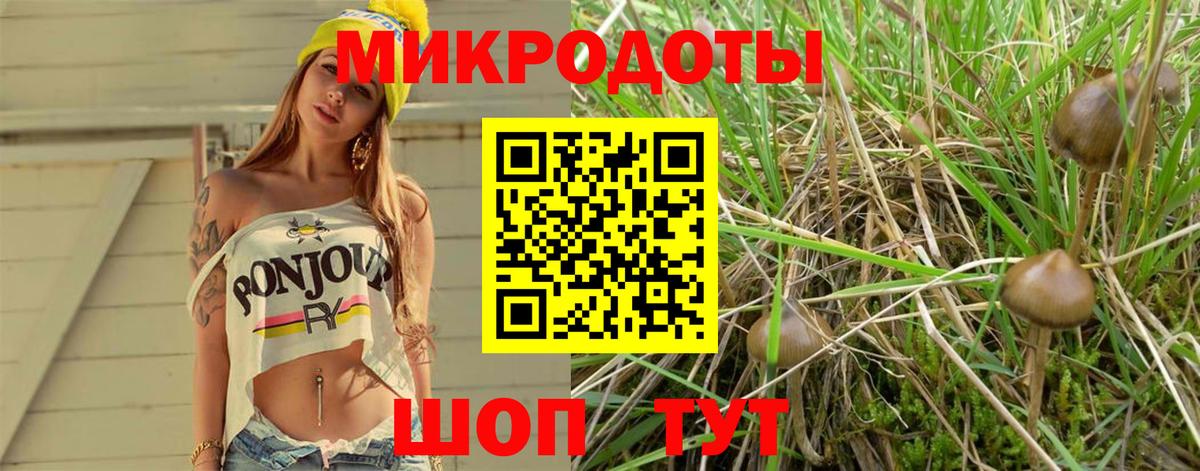 Елабуга  Галлюциногенные грибы Cubensis  наркошоп  Вход с VPN 